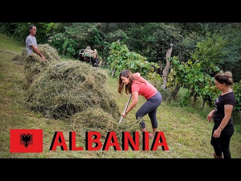 , title : 'Village life in rural ALBANIA 2022 - traditional country life vlog in the Balkans 🇦🇱 [Ep. 2]'