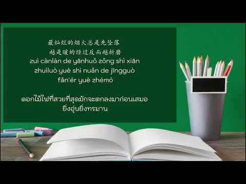 Wang Ji Wen Bu Pang 王靖雯不胖 – 不知所措Bu Zhi Suo Cuo  (Thai Sub/PINYIN) แปลเนื้อเพลงจีนเป็นไทย