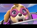 PAW Patrol Full HD Pups Team Episode 21 Pups Save A Bat Pups Save A Toof Funny Movies For KIDs Pa