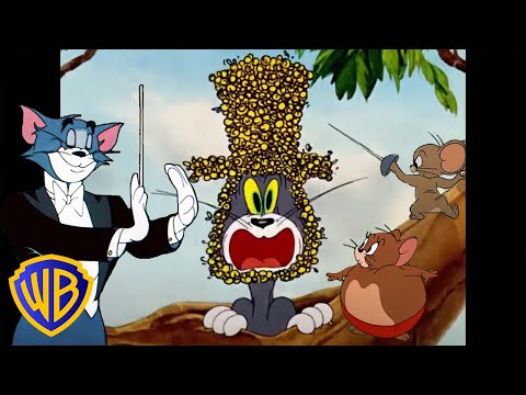 ¡Actividades al aire libre! ☀️🌙 | Tom y Jerry en Español 🇪🇸 | @WBKidsEspaña