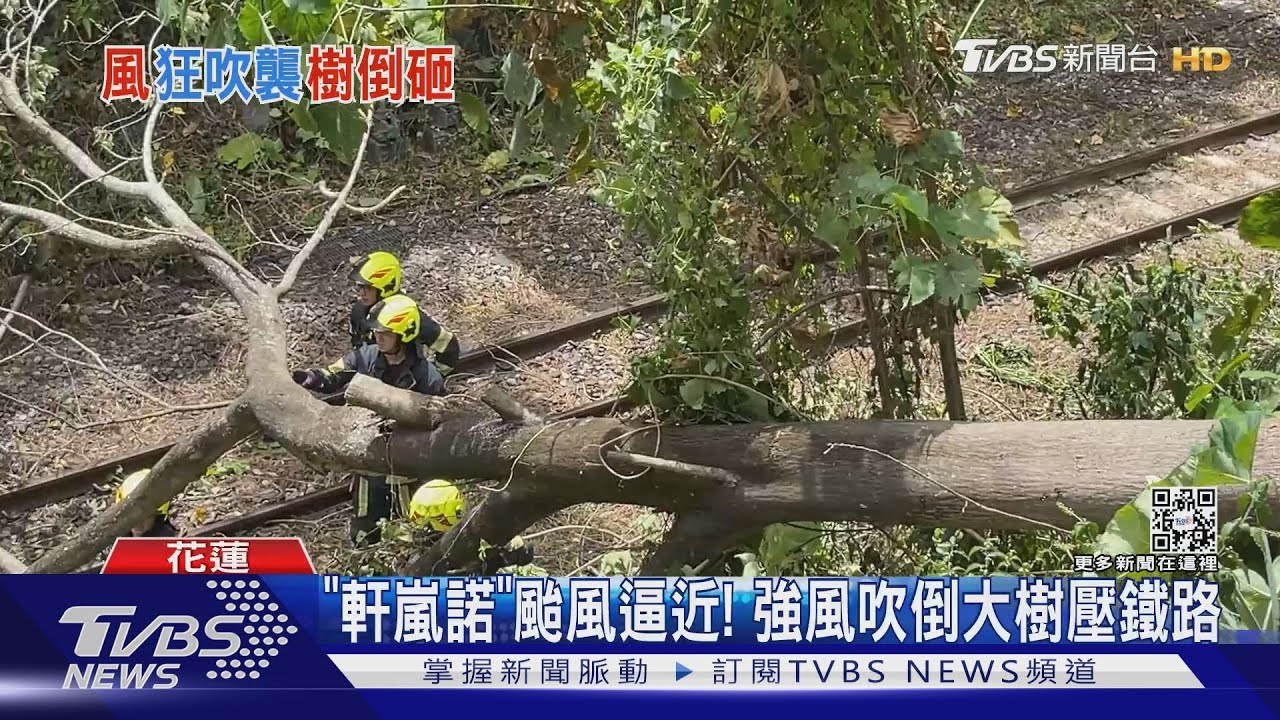 颱風「軒嵐諾」來了！樹倒壓鐵路、賓士車　騎士疑路滑摔車亡