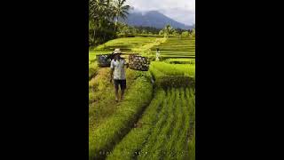 Download lagu Nining Meida ft Barman Syahyana Lembur Kakasih mp3 Download lagu Nining Meida ft Barman Syahyana Lembur Kakasih mp3