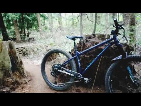2019 Kona Big Honzo Steel, 1 year update