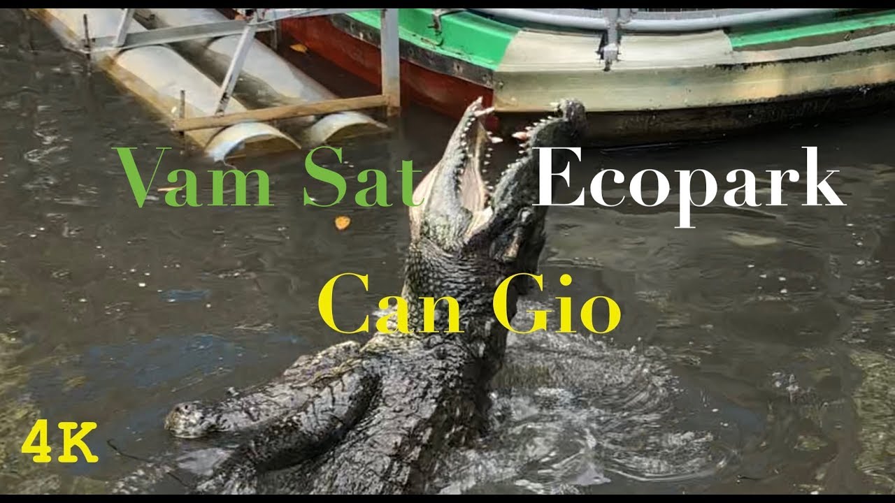 Experience a virtual tour of Vam Sat Ecological Tourist Center.