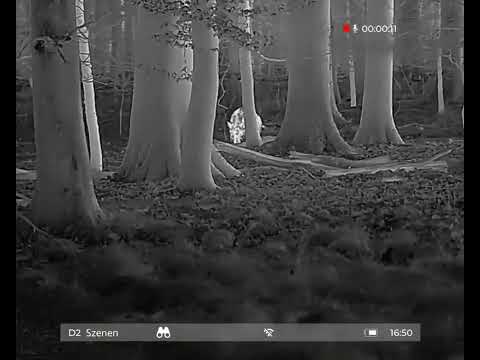 Wildschwein bei Nacht mit HOGHUNTER 650 LRF gefilmt 