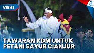 Janji Kompensasi dari Dedi Mulyadi untuk Petani Sayur Cianjur agar Mengganti Jenis Tanaman