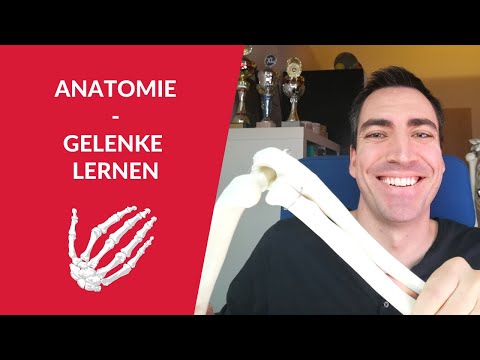 Bewegungsapparat: Gelenke lernen und langfristig abspeichern + Eselsbrücken!