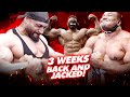 3 WEEKS BACK AND JACKED!