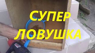 Ссылка