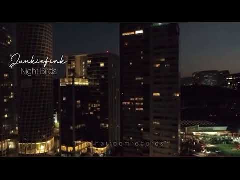 Dj Junkiefink -Night birds  [#MX001]