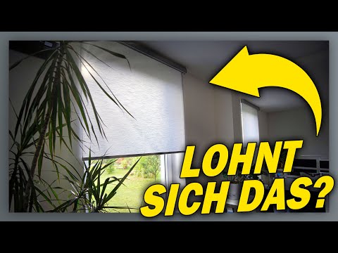 Wir haben unser Büro mit smarten Rollos ausgestattet! - Smartwings