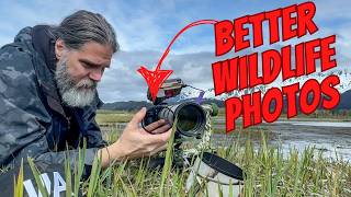 Better Wildlife Photos for Just $80? Yes — Here's How ||| K&F Concept CPL