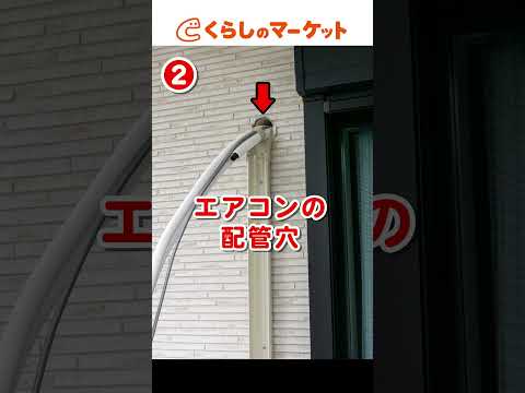鶏小屋にネズミを近づけないようにする方法は？げっ歯類に対する解決策とヒント  庭園