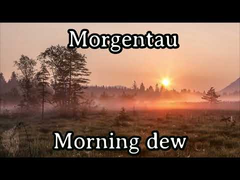 Freigeisterbund - Morgentau funkelt bunt [Live Recording][+ English Translation]