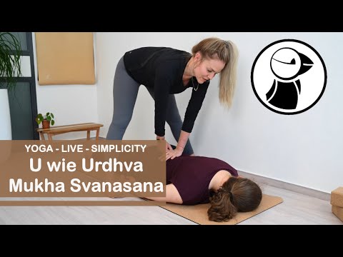 YOGA ABC U wie Urdhva Mukha Svanasana - Video Nr 122 - heraufschauender Hund