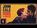 John Cale - Antarctica Starts Here (from "Paris s'éveille" OST)