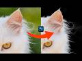Quick Way To Remove Complex Background In Photoshop 2024