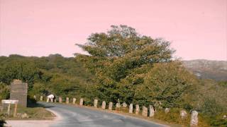 Black Moth Super Rainbow - Mockingbird Comes Calling