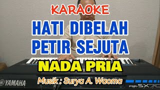Download lagu Karaoke Hati Dibelah Petir Sejuta - Nada Pria mp3 Download lagu Karaoke Hati Dibelah Petir Sejuta - Nada Pria mp3