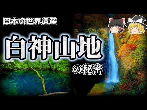 ブナ
