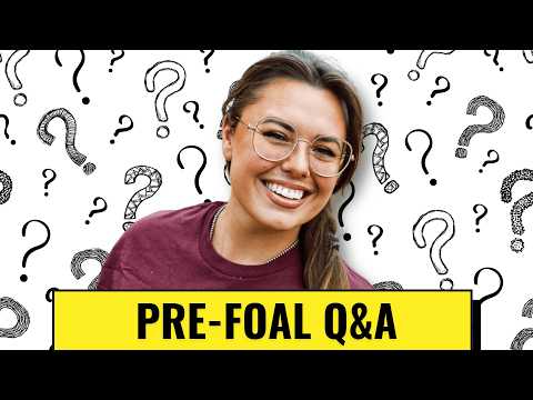 Answering Your Most Asked Questions!