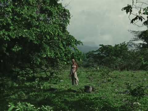 anaiis - Dreamer Too [Visualiser]