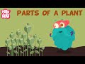 Parts Of A Plant | The Dr. Binocs Show | Learn Videos For Kids
