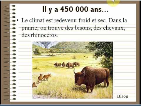 H5 Tautavel.avi