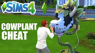 How To Get A Cowplant (Cheat) - The Sims 4