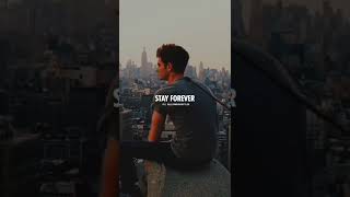 Download lagu 🔥Belajar untuk Tetap Sendirian ~ Status WhatsApp Motivasi ~ Status WhatsApp Kesepian #shorts #quotes mp3 Download lagu 🔥Belajar untuk Tetap Sendirian ~ Status WhatsApp Motivasi ~ Status WhatsApp Kesepian #shorts #quotes mp3