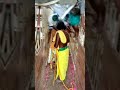 திருமானூர் Ariyalur Jallikattu