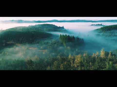 The Heart's Guidance Meditation with Dr. Shamini Jain