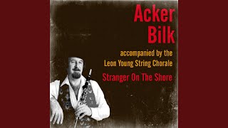 Stranger on the Shore