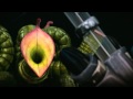 THX Amazing Life Trailer HD