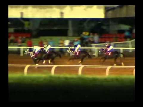 5ta. Carrera Miercoles 23 de Octubre de 2013 SANTA RITA