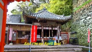 2016和歌山紀三井寺櫻a, 1/4, April Fool - Collin Raye. Kimiidera Temple ,Japan