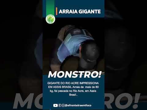 ARRAIA GIGANTE