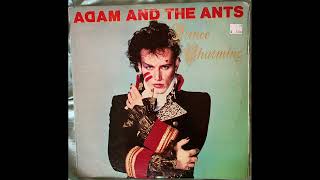 Adam and the Ants That Voodoo