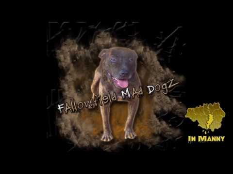 FMD - Trust Its A Must When We Bust (Fallowfield) #InManny