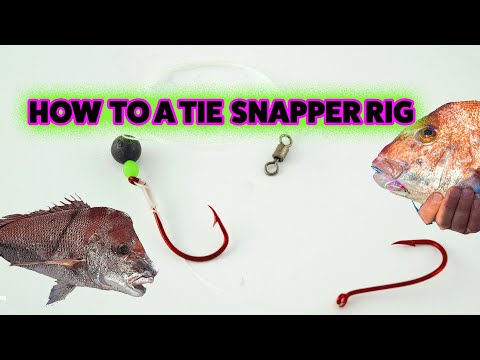 download lagu mp3 mp4 Snapper Fishing Rigs, download lagu Snapper Fishing Rigs gratis, unduh video klip Snapper Fishing Rigs