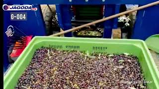 Jagoda G-004 / G-004 Pro Automatic Tree Shaker berry harvester for sale - Image 9 | Agroline UG New Jagoda G-004 / G-004 Pro Automatic Tree Shaker berry harvester | Image 9 - Agroline