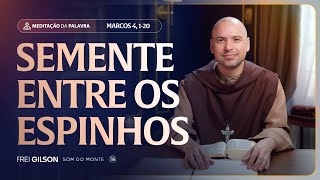 Semente entre os espinhos | (Marcos 4, 1-20) #2240