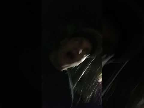 Coscu y el gordo poison en la calle