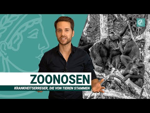 Wildtiermärkte: Brutstätten für Coronaviren | Zoonosen und Artensterben | Wissen Was mit MrWissen2go