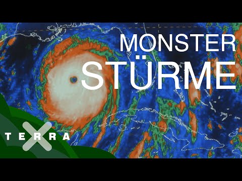 Hurrikane – so entstehen die gefährlichen Stürme | Terra X
