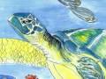 Count To Ten With Walter The Wobbegong Shark
