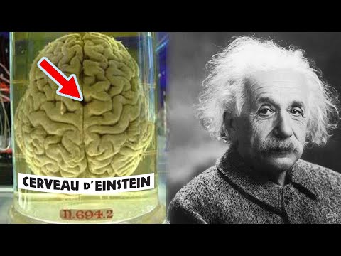 Voici Comment le Cerveau D'EINSTEIN était Différent