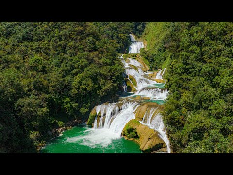 DANE JACKSON 2023 HIGHLIGHT REEL