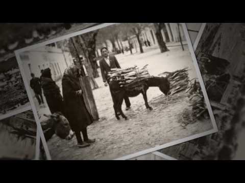 MLADEN GRDOVIĆ - DIDA MOJ