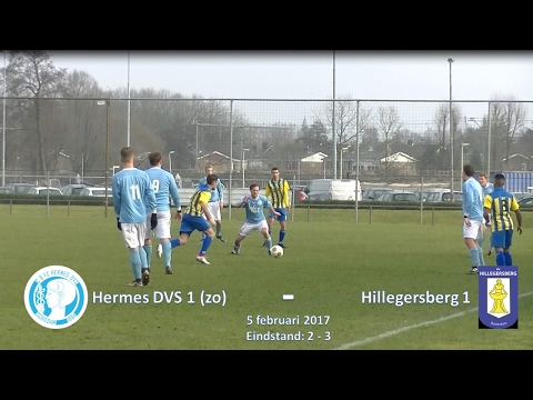 Samenvatting Hermes DVS 1(zo) -  Hillegersberg 1